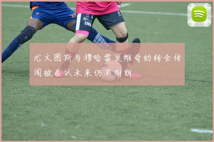 尤文图斯与穆哈雷莫维奇的转会传闻被否认未来仍不明朗